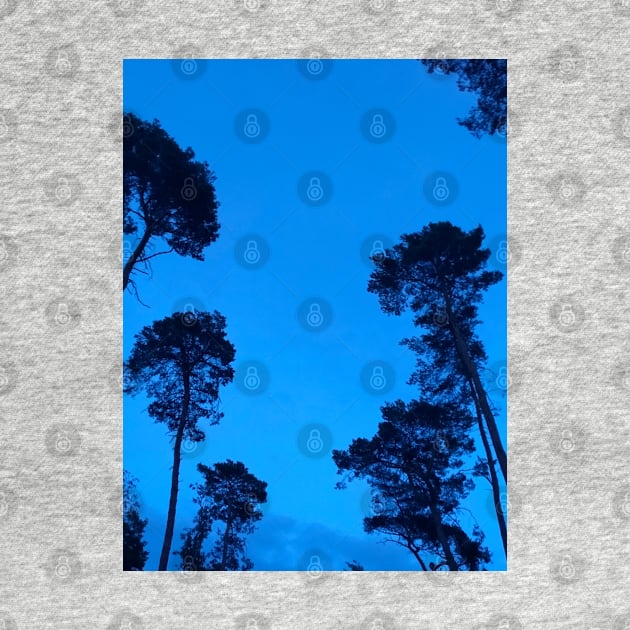 The trees are are watching us from a clear blue night sky by Artonmytee